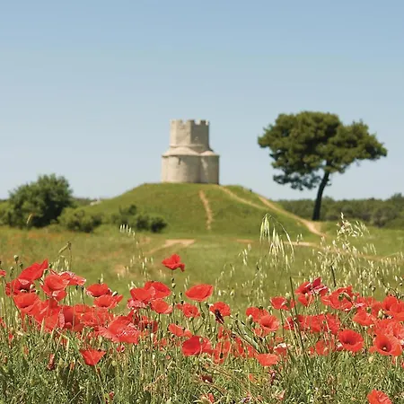 Appartement Amazing In Zaton (Zadar)