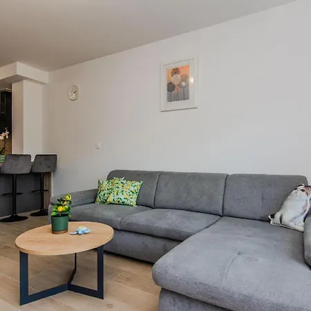 Lovely In Apartment