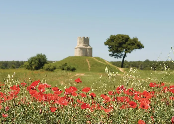 Appartement Amazing In Zaton (Zadar)