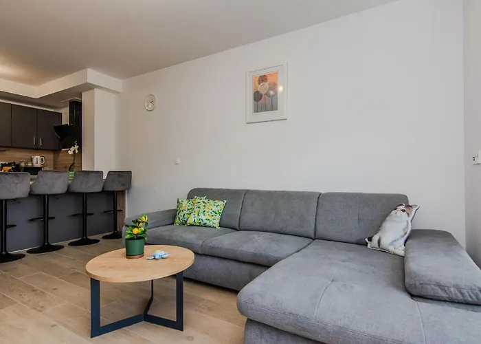 Amazing In Appartement